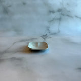 作家 藤原志鈴香 まるスクエアプレートS 白