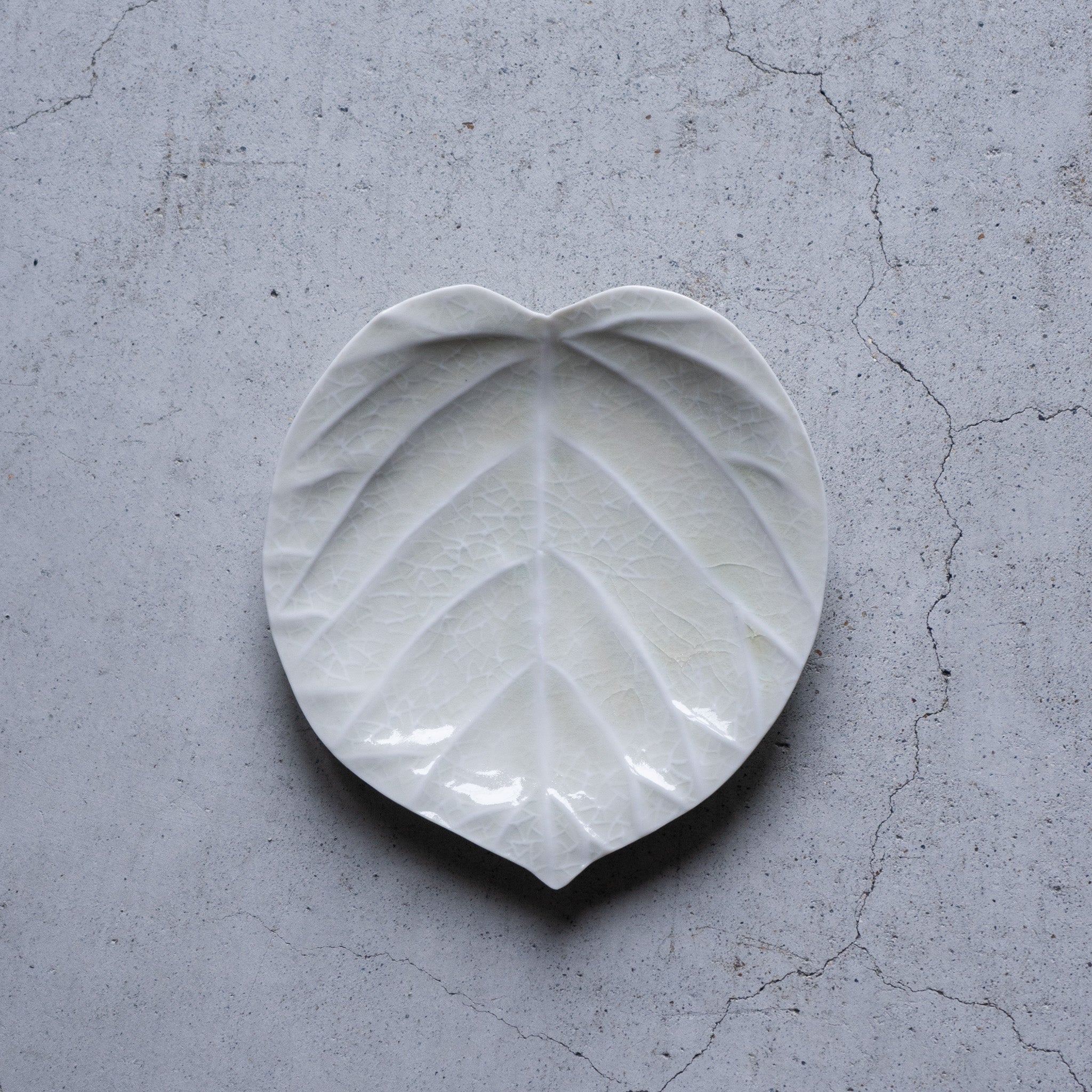 作家 前田麻美 灰青釉 ウンべ 5寸【前34】 – nokaze｜陶器、和食器