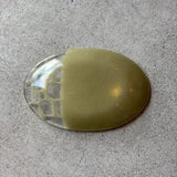 楕円皿 中b まっちゃ【SB39】