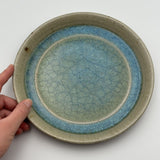 みかん灰秞 皿【111】