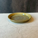 黄ドラ鉢【TA5】