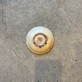 色絵きつね豆皿【石井8a】