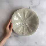 作家 前田麻美 灰青釉 蓮の葉 7寸皿