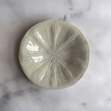 作家 前田麻美 灰青釉 蓮の葉 7寸皿