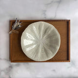 作家 前田麻美 灰青釉 蓮の葉 7寸皿