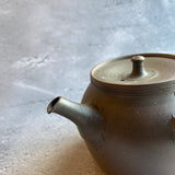 焼〆梨皮窯変急須(230ml)|作家 山田勇太郎(常滑 茶器)【14】
