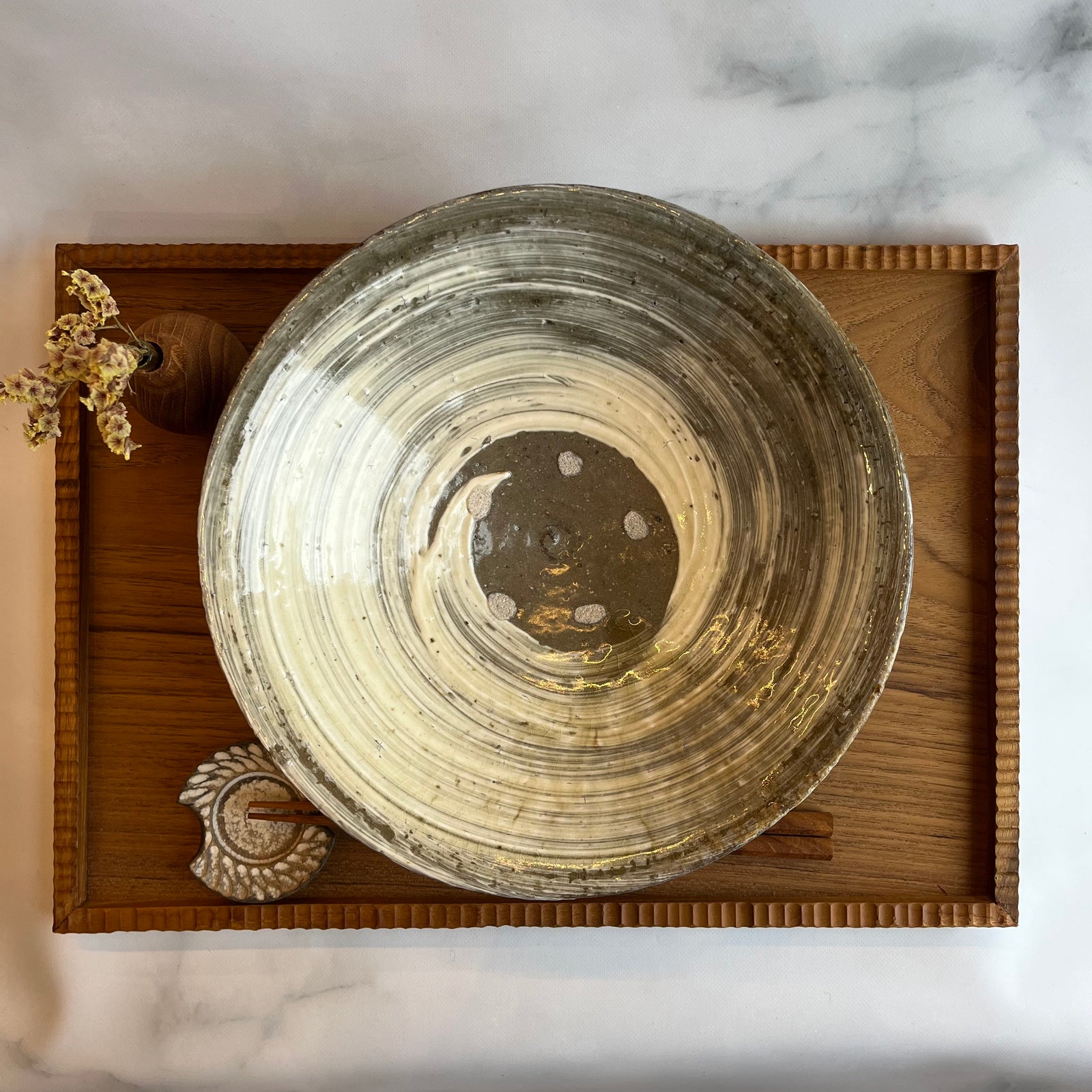 作家さんの鉢 塊根植物・観葉植物の植木鉢専門店 「HACHILABO - ハチラボ- 」