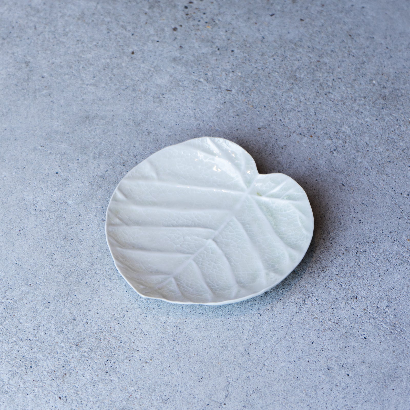 作家 前田麻美 灰青釉 ウンベ 6寸【2】 – nokaze｜陶器、和食器