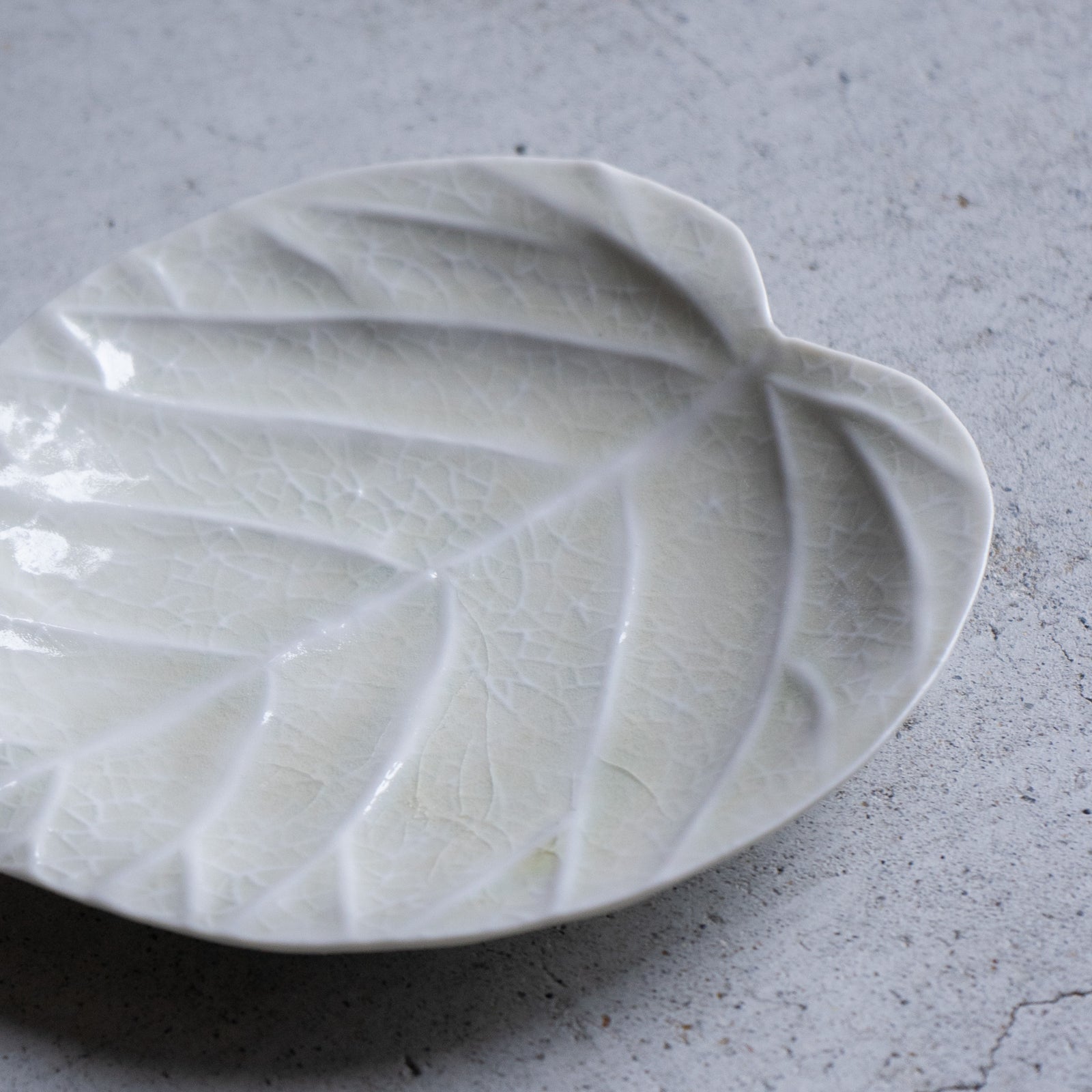 作家 前田麻美 灰青釉 ウンべ 5寸【前34】 – nokaze｜陶器、和食器