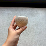 茶杯【西野6c】