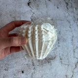 コーヒーペーパーフィルター Cone + Wave set cup2｜ORIGAMI