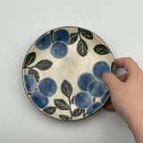 加彩丸平皿　中【KI3c】