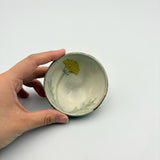 Colorful bean bowl [KI6e]