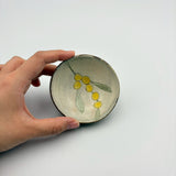 Colorful bean bowl [KI6f]