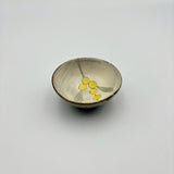 Colorful bean bowl [KI6f]