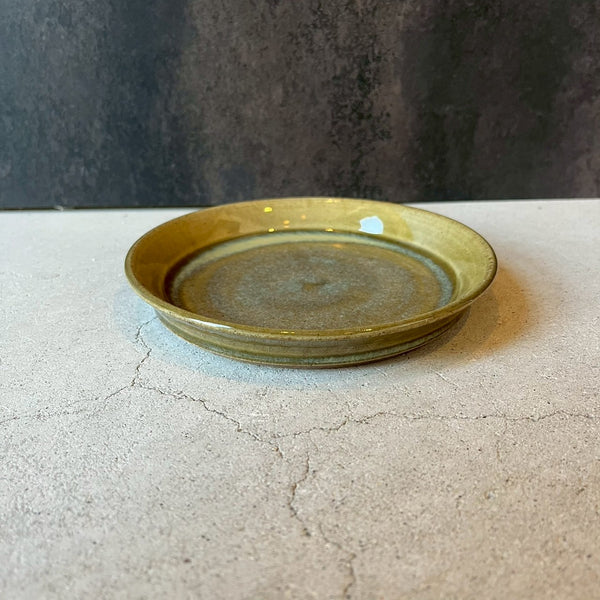 黄ドラ鉢【TA5】