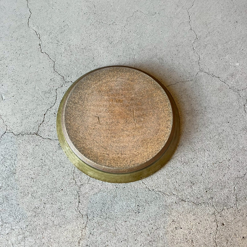 黄ドラ鉢【TA5】