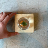 かがみもち【Y6】