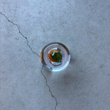 かがみもち【Y6】