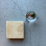 かがみもち【Y6】