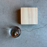 かがみもち【Y7a】