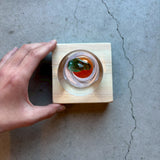 かがみもち【Y7a】