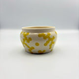 ミモザ　ふたもの【ホンゴウ19】