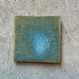 Orange ash square plate [148]