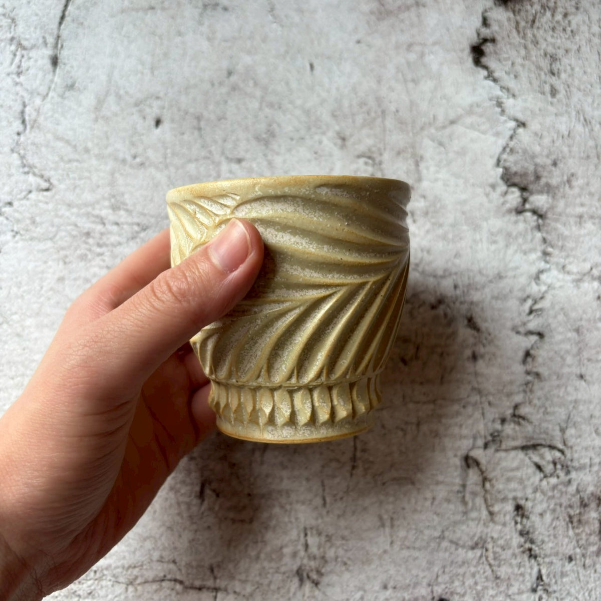 しのぎ湯呑 イノー｜作家 新里 竜子 – nokaze｜陶器、和食器、うつわの通販