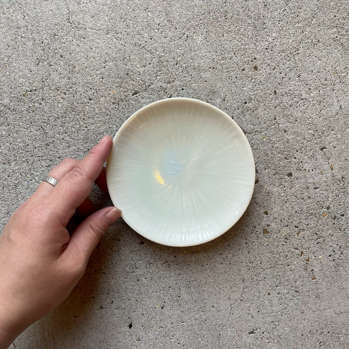 NOZOMI？作家様作品　皿 約20cm Nozomi Nishino – nokaze｜陶器、和食器、うつわの通販