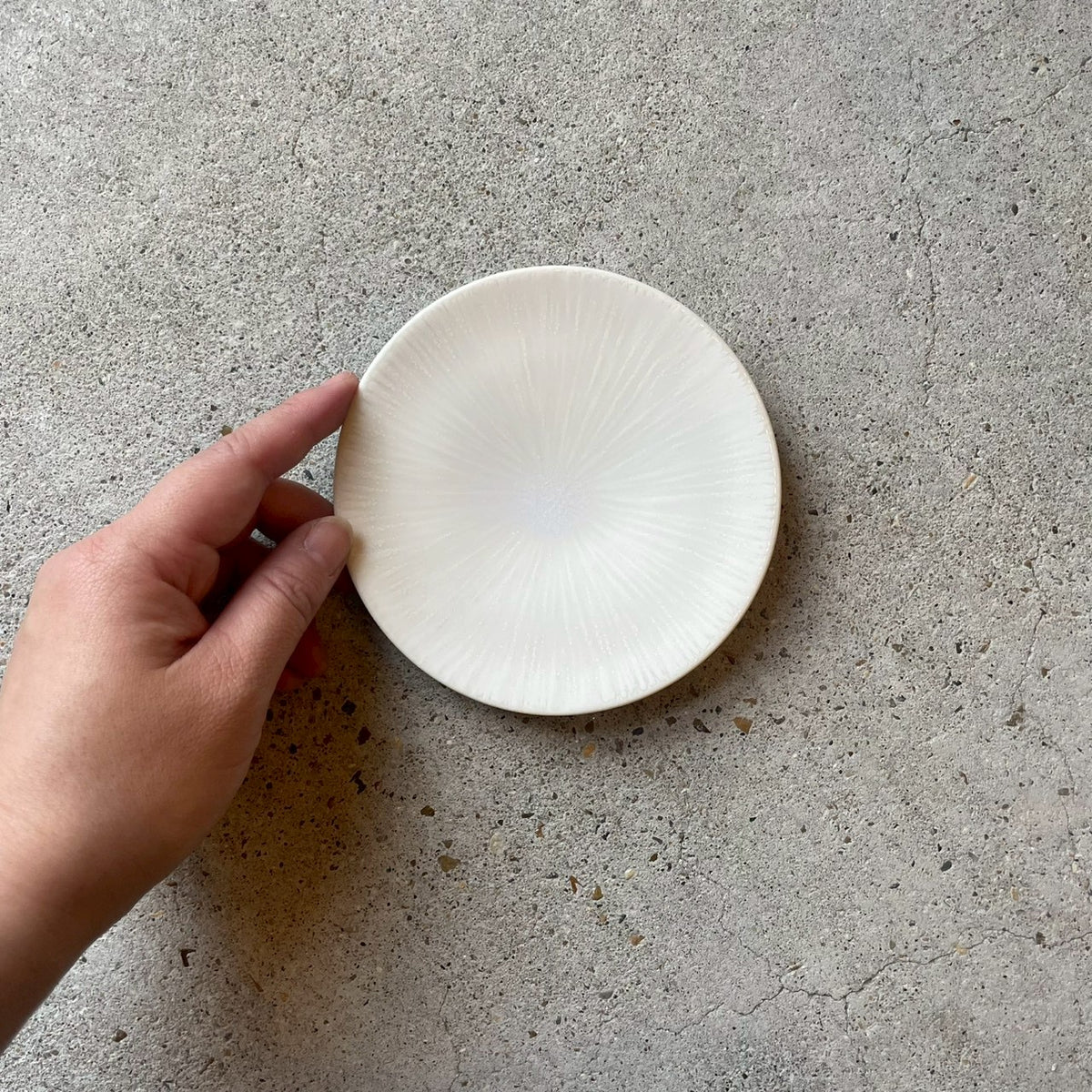 NOZOMI？作家様作品　皿 約20cm Nozomi Nishino – nokaze｜陶器、和食器、うつわの通販