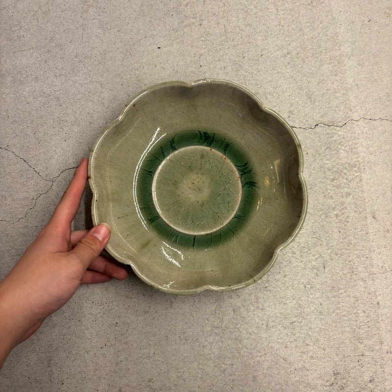 みかん灰秞　鉢【55】