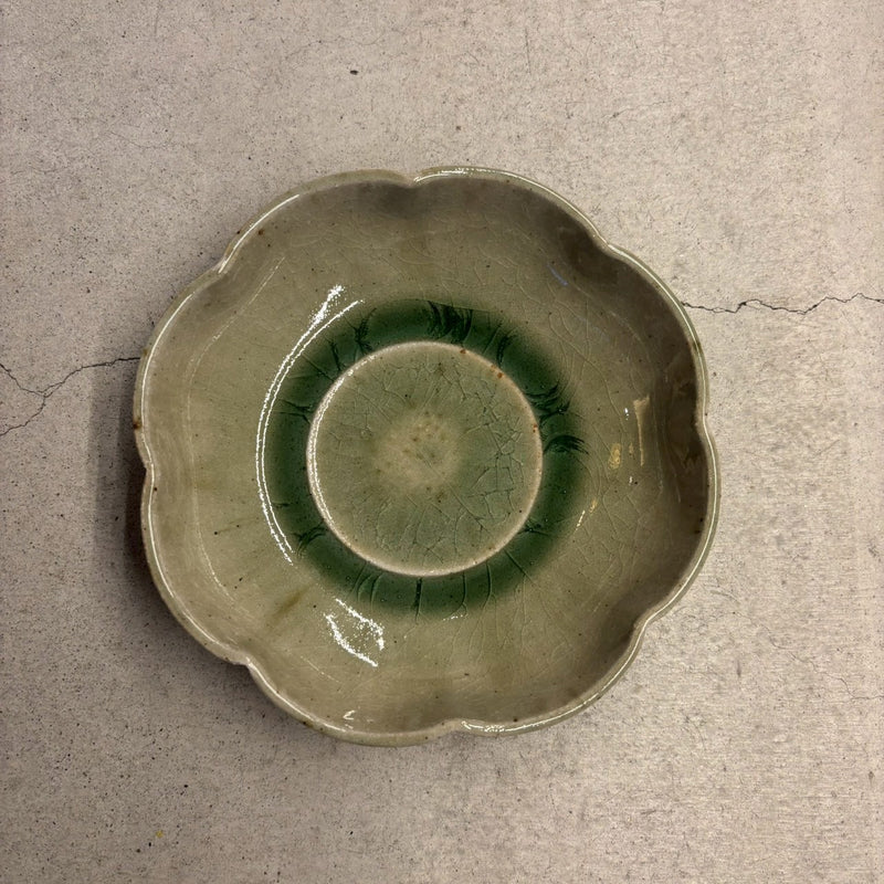 みかん灰秞　鉢【55】