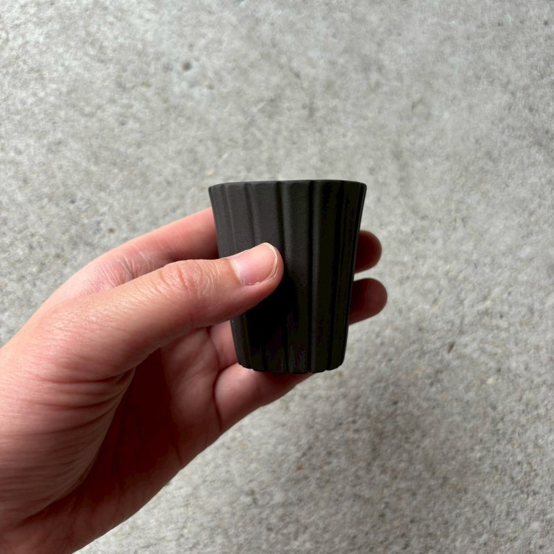 Artist Tobimatsu lantern shaved cup SS / Taiwanese tea cup / white
