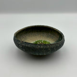 鮑型鉢【和田山 AH39c】