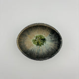 鮑型鉢【和田山 AH39k】