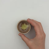 ぐいのみ(いちじく流し)【和田山 B3-1b】