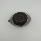 片口【和田山 B38-7】