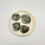 6寸皿【oguro5e】