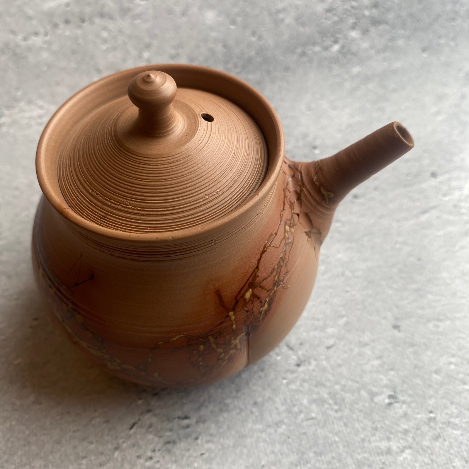 藻掛宝瓶（150ml）｜作家 山田勇太郎（常滑 茶器）【1